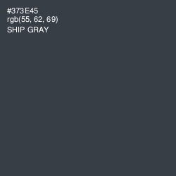 #373E45 - Ship Gray Color Image